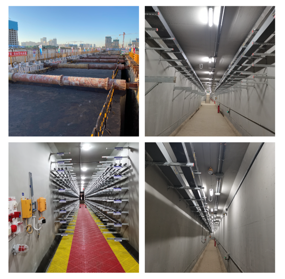 1655013561765861.png a4973155e53916579ddda696ae810d3.png