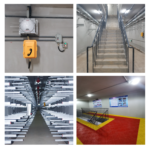 1655013648609467.png 623f8c21dd130a549c37bdba74c3b6b.png