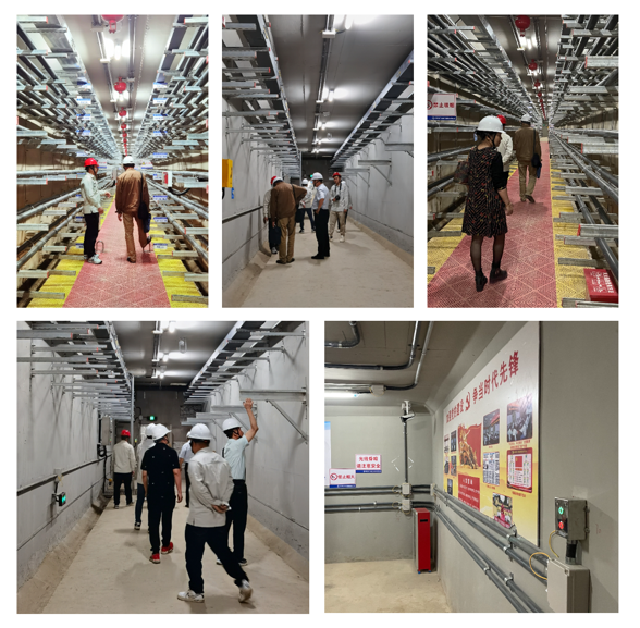 1655013705336193.png e52b50412753dfc06ced9d2c4845891.png