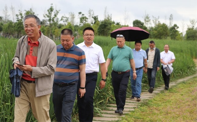 1656336961571489.jpg 11.jpg