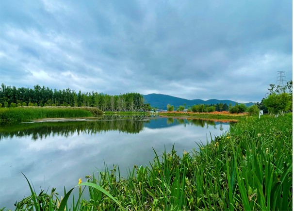 1656337023186989.jpg 9.jpg