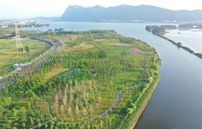 1656337039415491.jpg 12.jpg