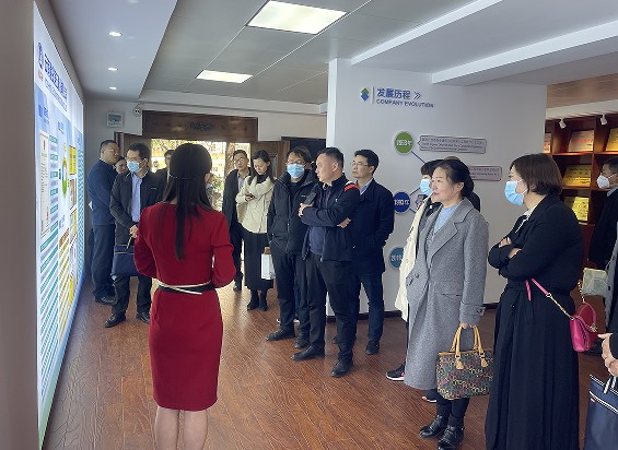 1666247432249706.jpg 10.jpg