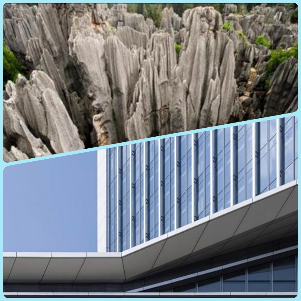 1723795079495850.jpg a.jpg